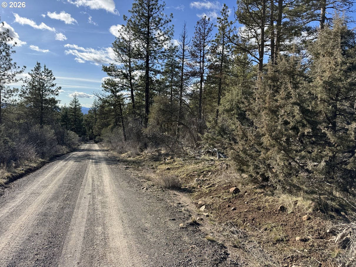 Badger Lane Bonanza, OR 97623 - Photo 24 of 33 a view of a yard with trees in the background