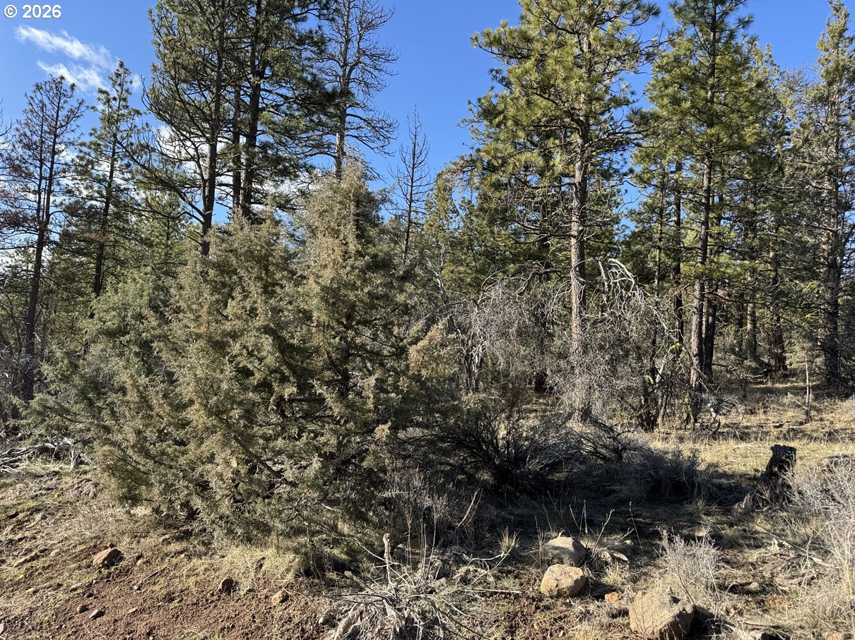 Badger Lane Bonanza, OR 97623 - Photo 25 of 33 a view of outdoor space and a yard