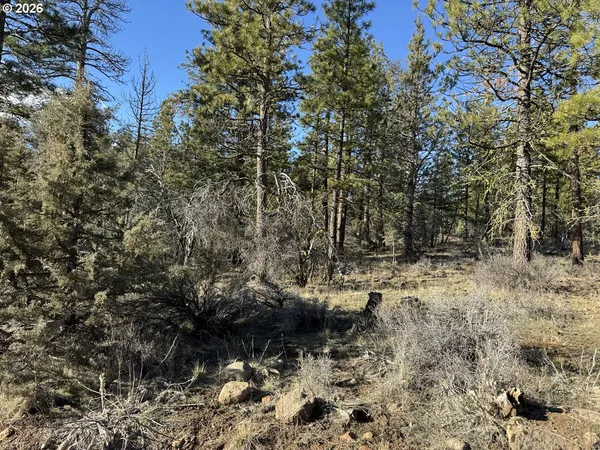 $17,000 | Badger Lane, Bonanza, OR 97623
