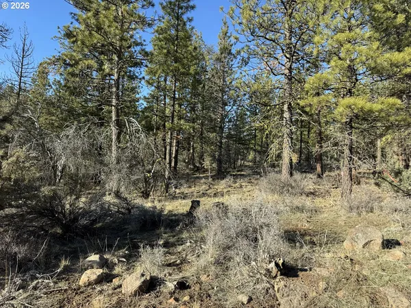 $17,000 | Badger Lane, Bonanza, OR 97623