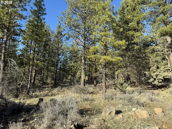 $17,000 | Badger Lane, Bonanza, OR 97623