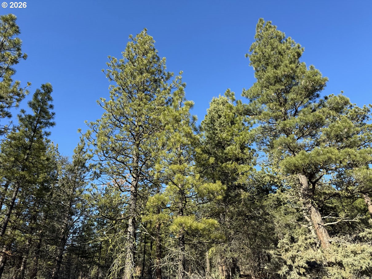 Badger Lane Bonanza, OR 97623 - Photo 30 of 33 an aerial view of a residential houses