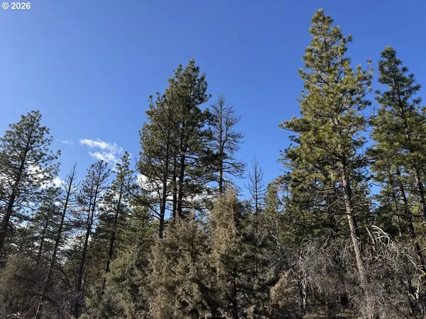 $17,000 | Badger Lane, Bonanza, OR 97623