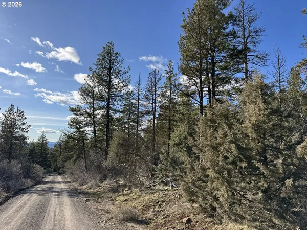 $17,000 | Badger Lane, Bonanza, OR 97623