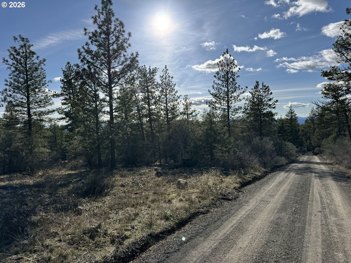 Badger Lane Bonanza, OR 97623 - Photo 33 of 33 a view of outdoor space and yard
