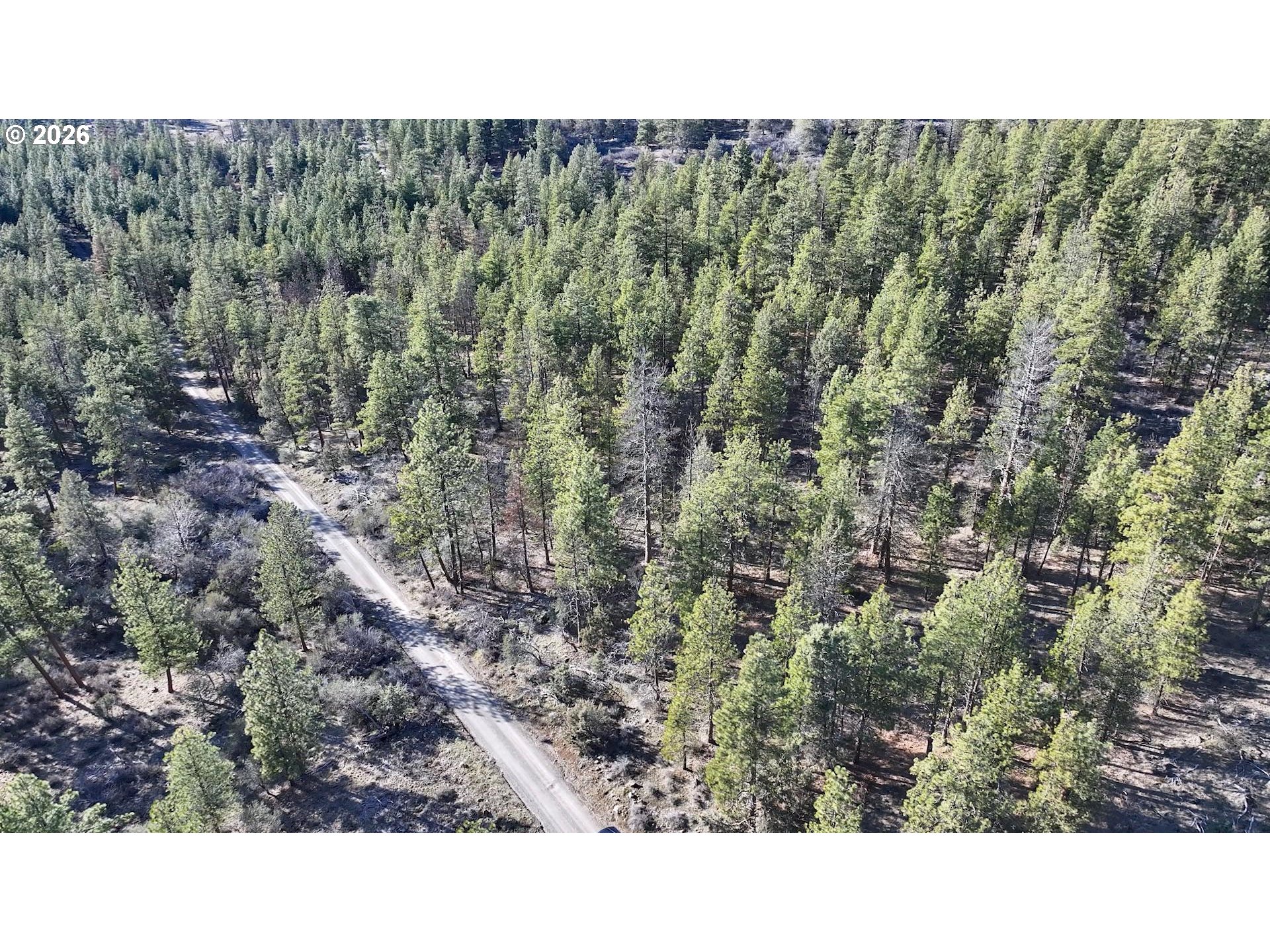 Badger Lane Bonanza, OR 97623 - Photo 5 of 33 a open area of a house with a yard