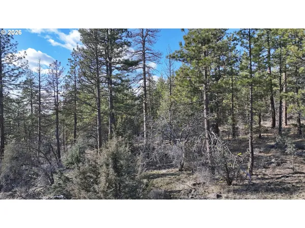 $17,000 | Badger Lane, Bonanza, OR 97623