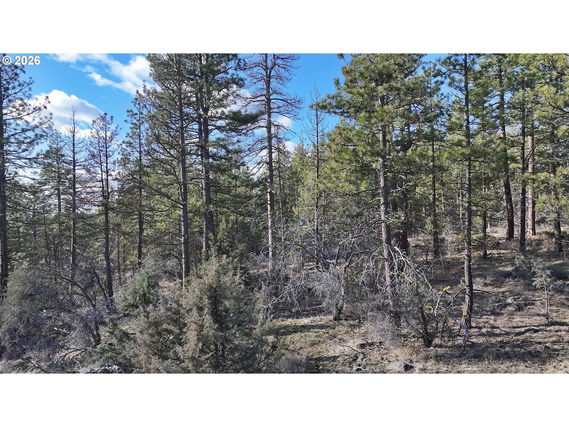 Badger Lane Bonanza, OR 97623 - Photo 9 of 33 a black and white photo of a house