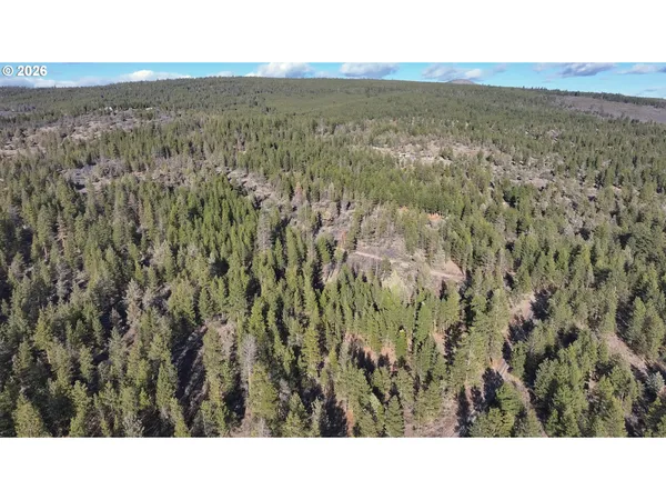 $17,000 | Badger Lane, Bonanza, OR 97623