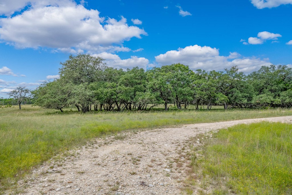668 Elm Pass Road Center Point, TX 78010 - Photo 34 of 37