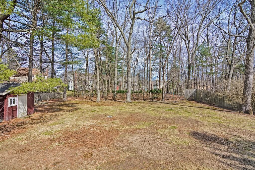 45 Walnut Street Millis, MA 02054 - Photo 31 of 32 a view of a yard with trees
