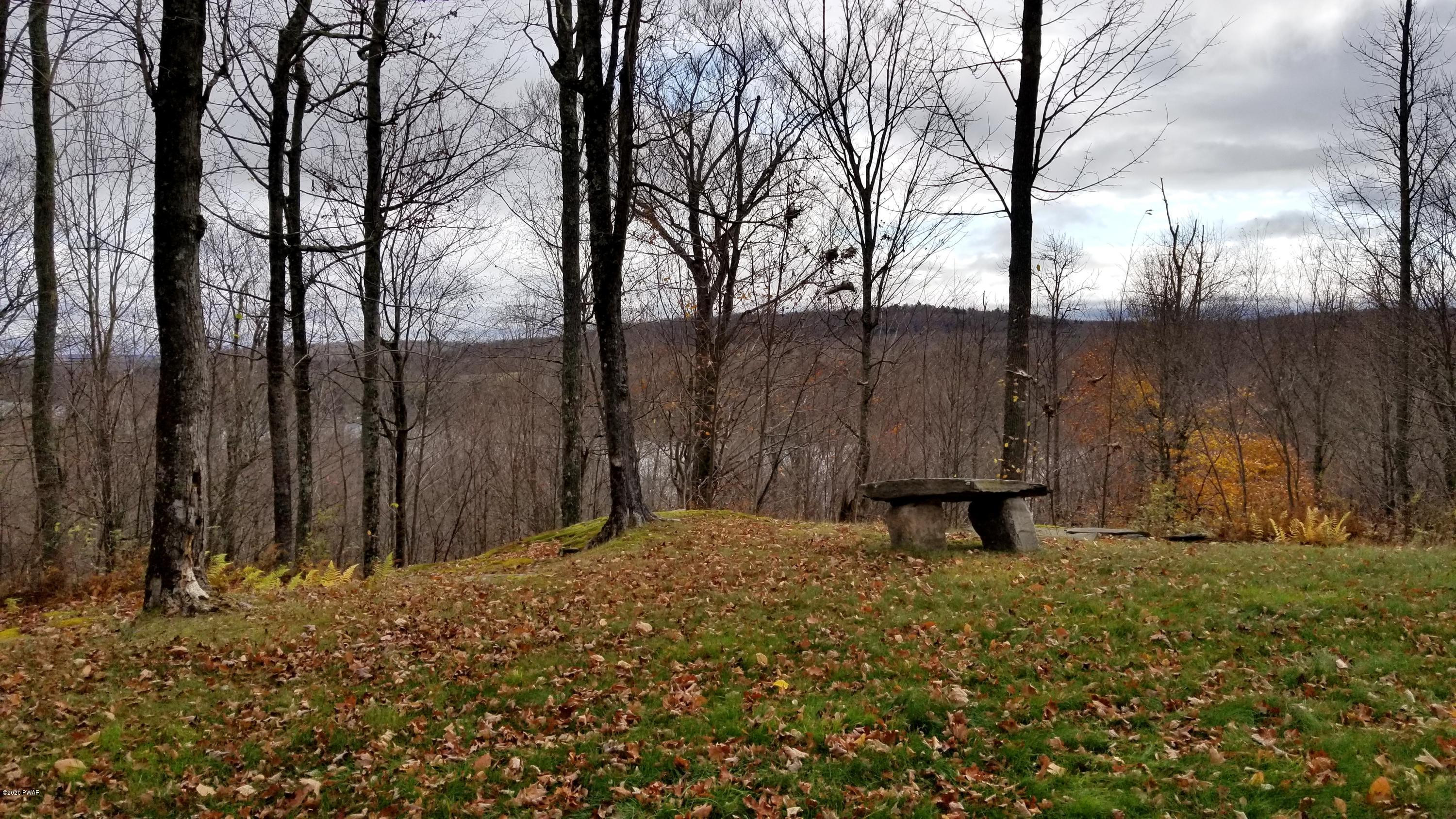 Lot 63 Old Woods Road Equinunk, PA 18417 - Photo 15 of 63