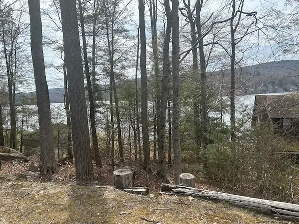 a view of a entrance gate of the house