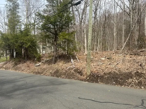 a view of a backyard of the house