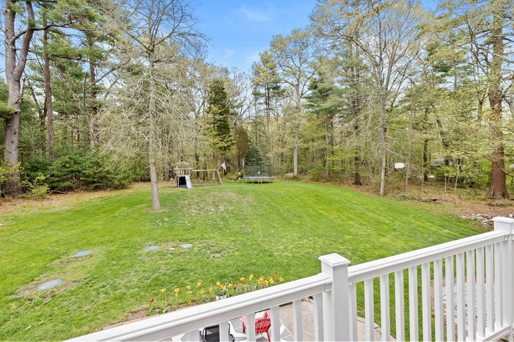 39 High Street Freetown, MA 02702 - Photo 29 of 42 a view of a garden and trees