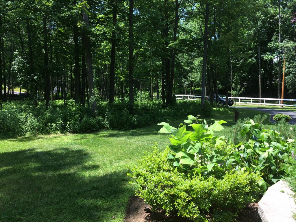 5 South Bow Road Hooksett, NH 03106 - Photo 7 of 21