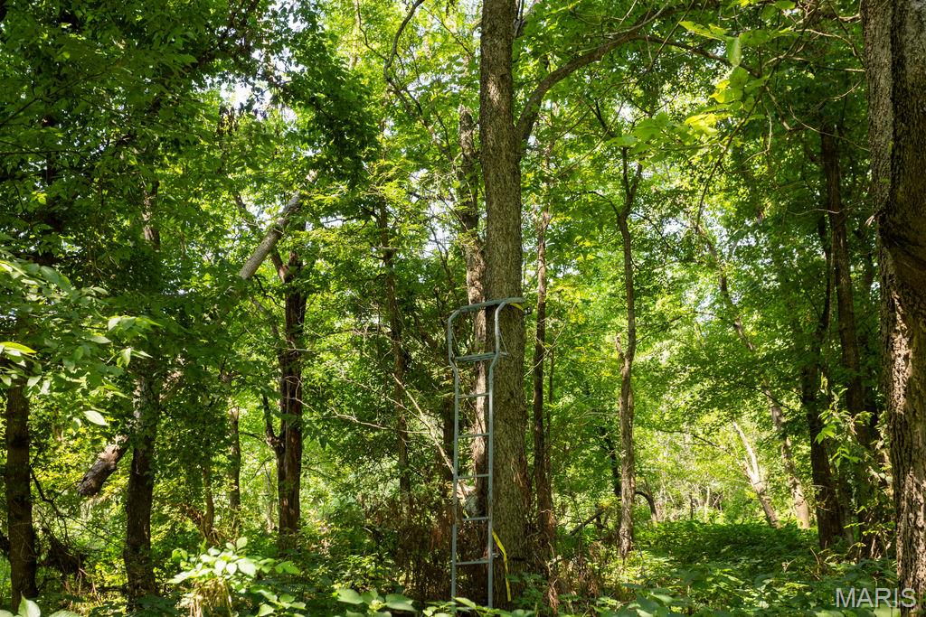 56504 Shaw Road Russellville, MO 65074 - Photo 82 of 85 Gallery Image 82