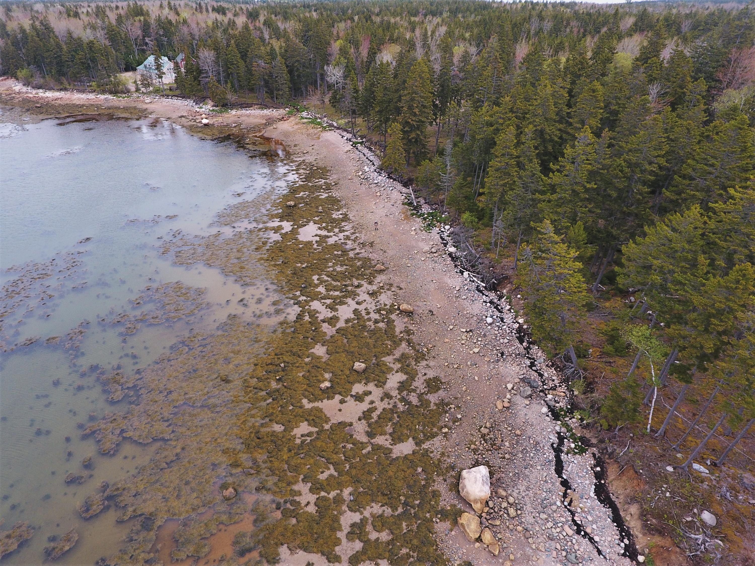 128 Estates Road Steuben, ME 04680 - Photo 12 of 35 DJI_0465 (2)