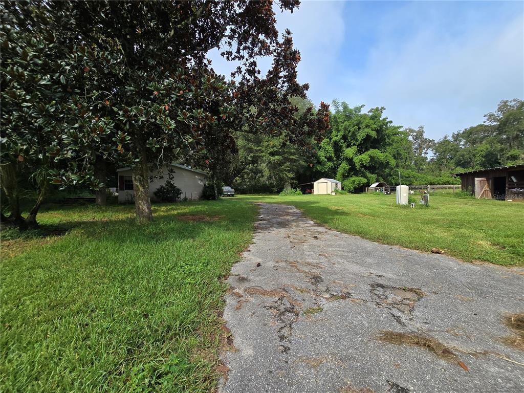 4901 Northwest 152nd Lane Reddick, FL 32686 - Photo 3 of 13 a view of a park with large trees