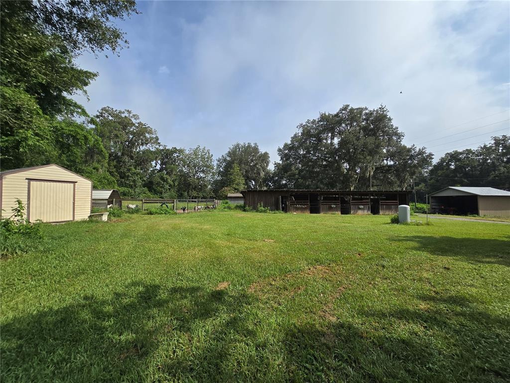 4901 Northwest 152nd Lane Reddick, FL 32686 - Photo 5 of 13 a backyard of a house with lots of green space