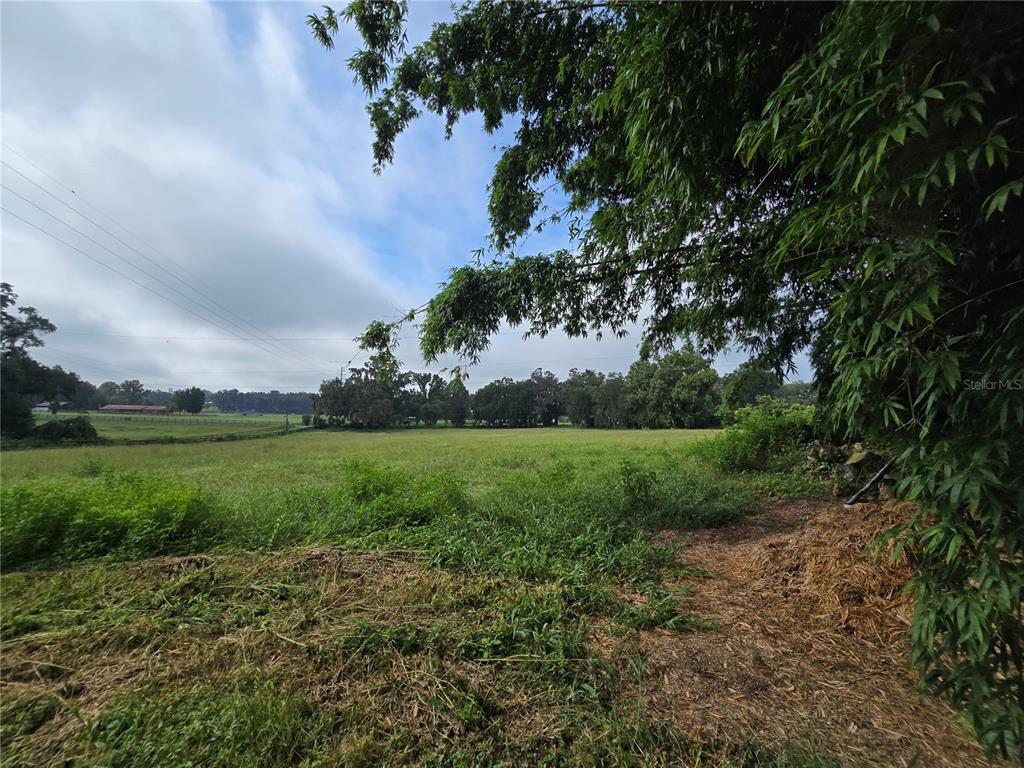 4901 Northwest 152nd Lane Reddick, FL 32686 - Photo 6 of 13 a view of a field with plants and trees