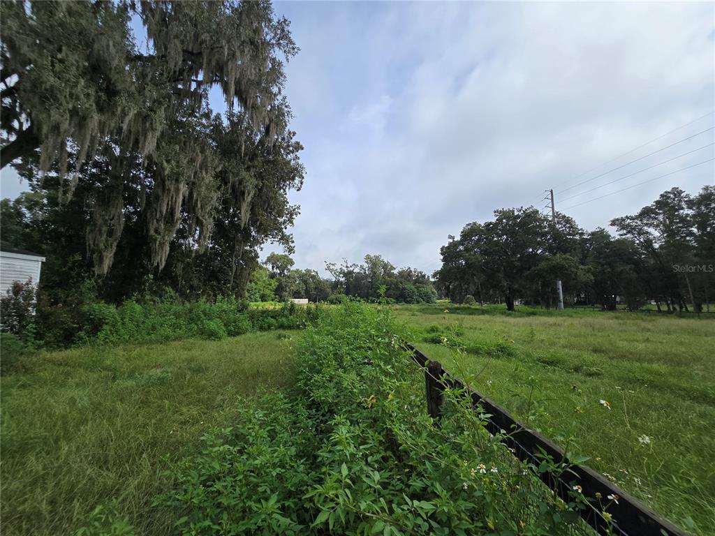 4901 Northwest 152nd Lane Reddick, FL 32686 - Photo 7 of 13 a view of a field of grass and trees