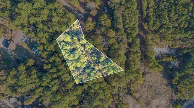 a view of a yard with plants