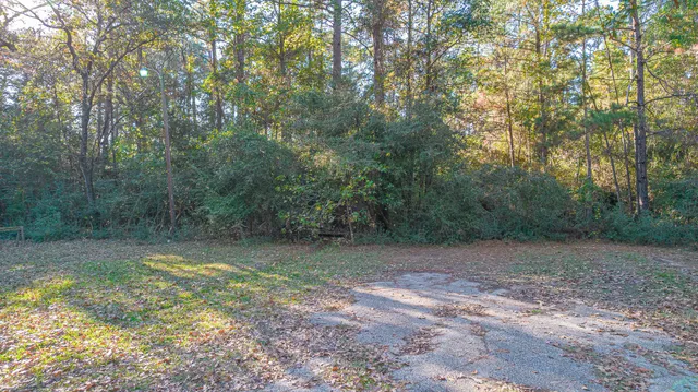a view of a field with trees in the background