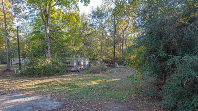 a view of a forest with trees