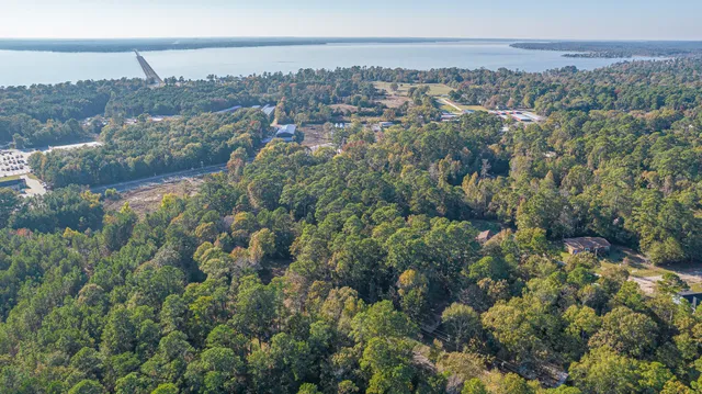 an aerial view of town with residential houses and trees around