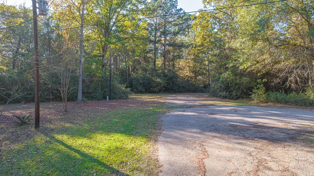 a view of a backyard with large trees