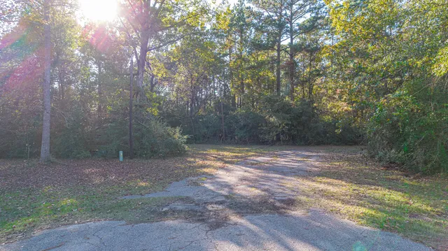 a view of a yard with trees
