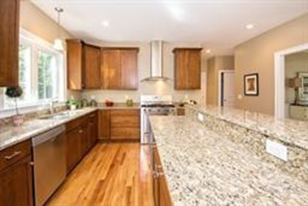 20 Saddleback Lane Canton, MA 02021 - Photo 11 of 30 Gallery Image 11