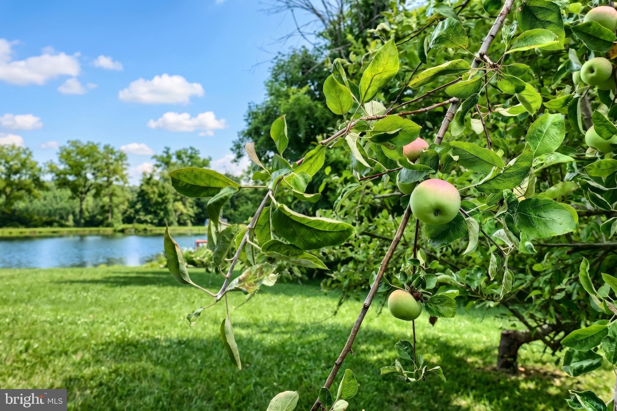 700 White Oak Tree Road Gardners, PA 17324 - Photo 23 of 71 Beautiful Gardens