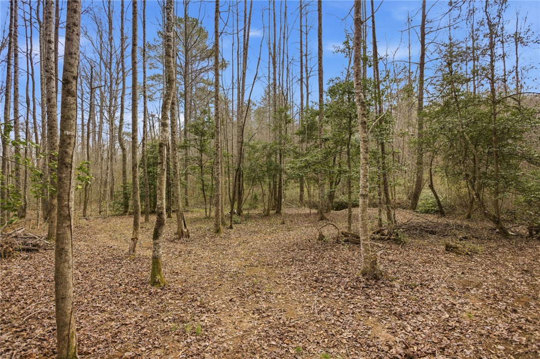 196 Flyroot Trail Pickens, SC 29671 - Photo 35 of 48 This serene, wooded lot offers a tranquil escape, perfect for building a private sanctuary.