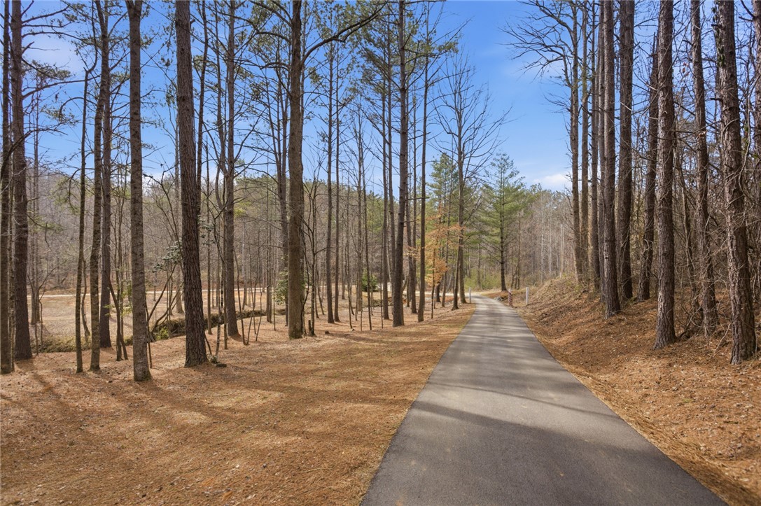 196 Flyroot Trail Pickens, SC 29671 - Photo 39 of 48 A tranquil, tree-lined road winds through nature, offering a peaceful retreat.