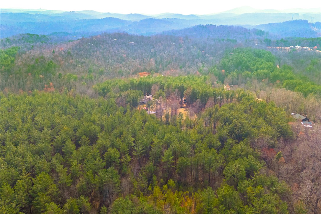 196 Flyroot Trail Pickens, SC 29671 - Photo 43 of 48 This elevated view captures the extensive woodlands and rolling hills of the surrounding landscape.