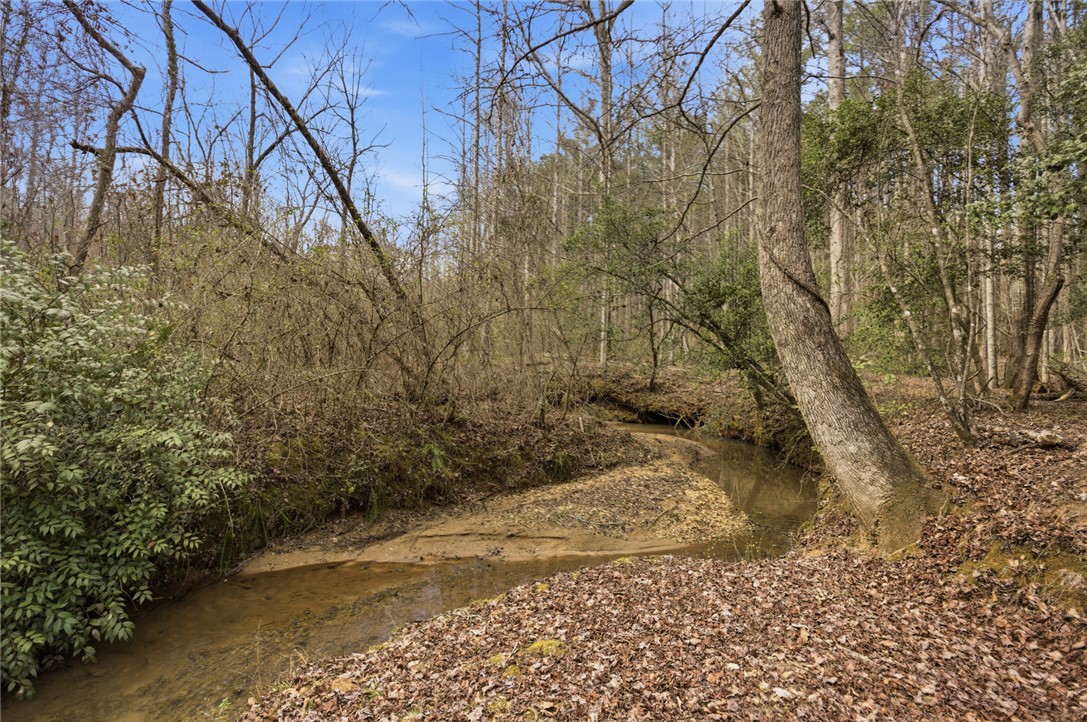 196 Flyroot Trail Pickens, SC 29671 - Photo 46 of 48 A tranquil creek winds through a lush, wooded landscape, offering a serene natural escape.