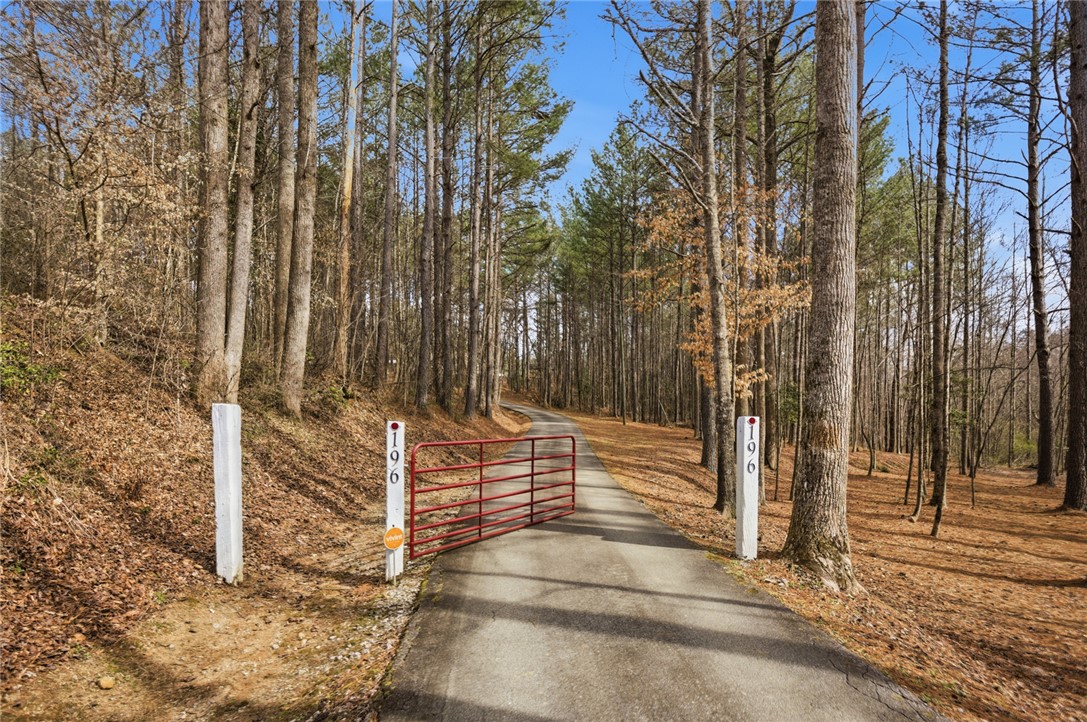 196 Flyroot Trail Pickens, SC 29671 - Photo 5 of 48 A long, tree-lined driveway leads to a secluded property, offering privacy and natural beauty.
