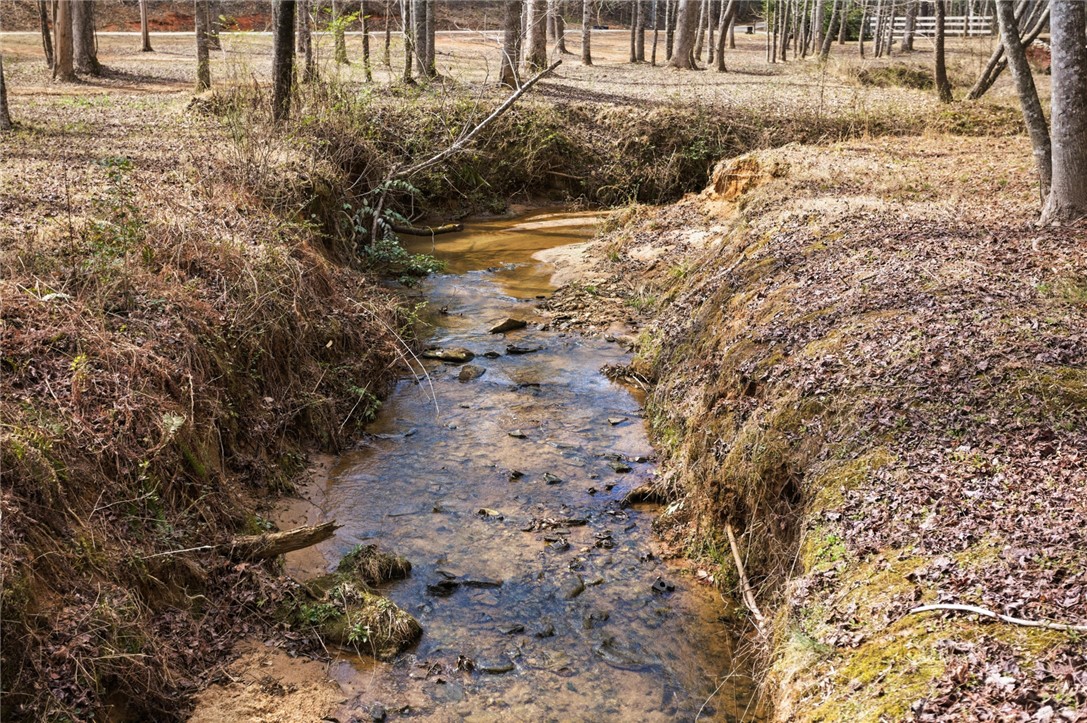 196 Flyroot Trail Pickens, SC 29671 - Photo 7 of 48 A tranquil creek winds through a wooded landscape, offering natural beauty.