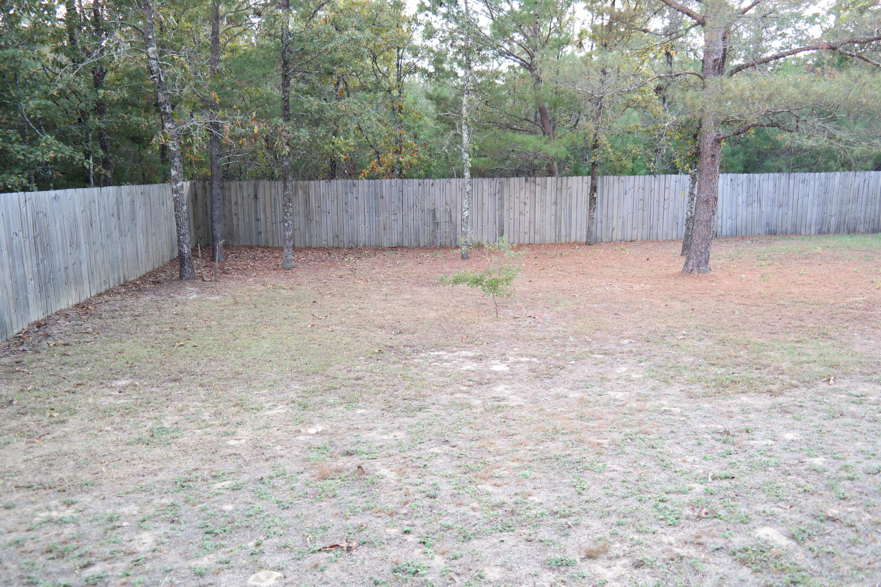 130 Crocus Avenue DeFuniak Springs, FL 32433 - Photo 19 of 24 a view of backyard and tree