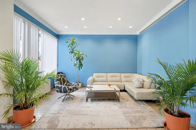 a living room with furniture potted plant and a window