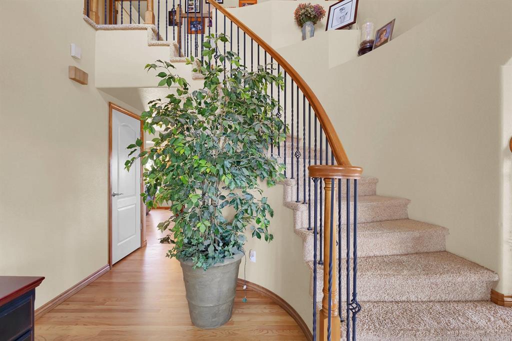 2003 Paradise Ridge Court Colorado Springs, CO 80921 - Photo 4 of 36