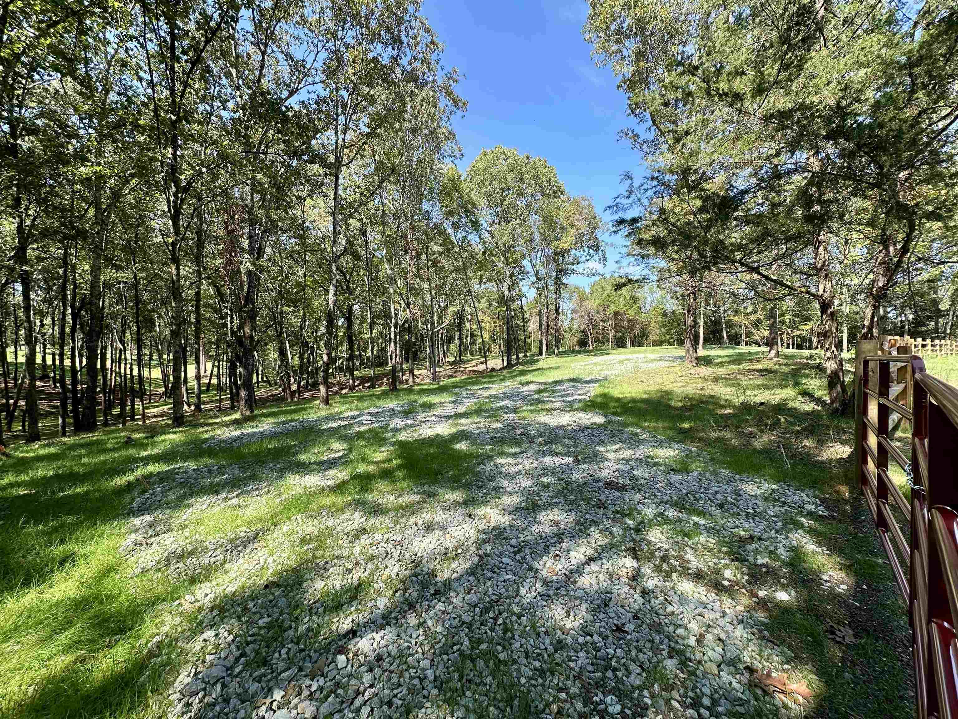 a big yard with lots of green space and trees