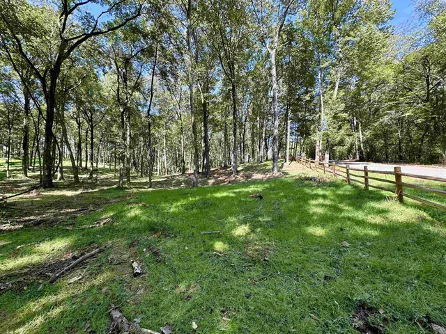 a view of park with trees