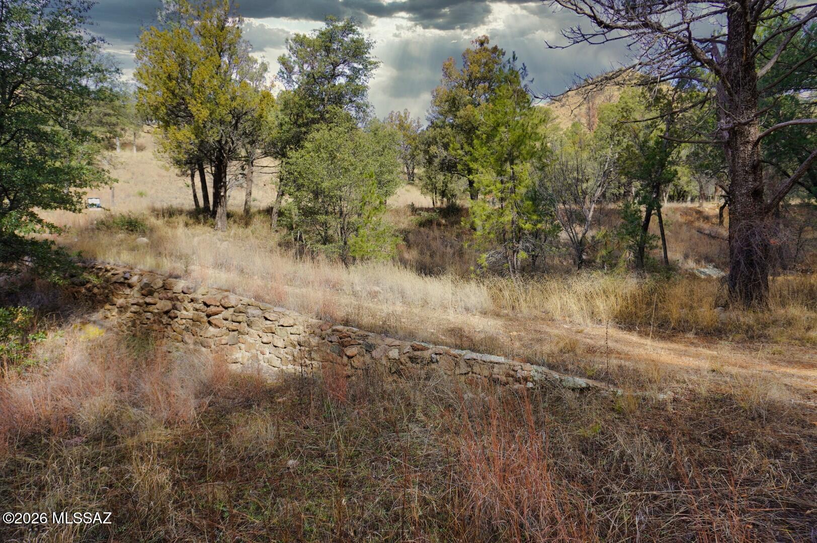13223 East Turkey Creek Road Pearce, AZ 85625 - Photo 15 of 49