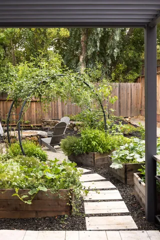 a view of a garden from a window
