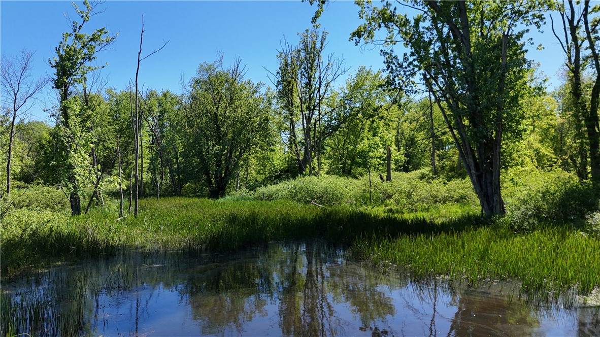 Dredge Ditch Road Conewango Valley, NY 14726 - Photo 8 of 21