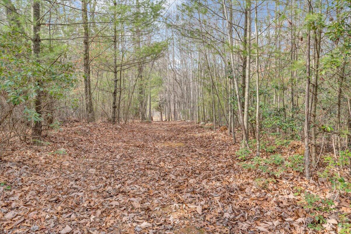 6702 Ferrum Mountain Road Callaway, VA 24067 - Photo 30 of 45 a view of room with trees