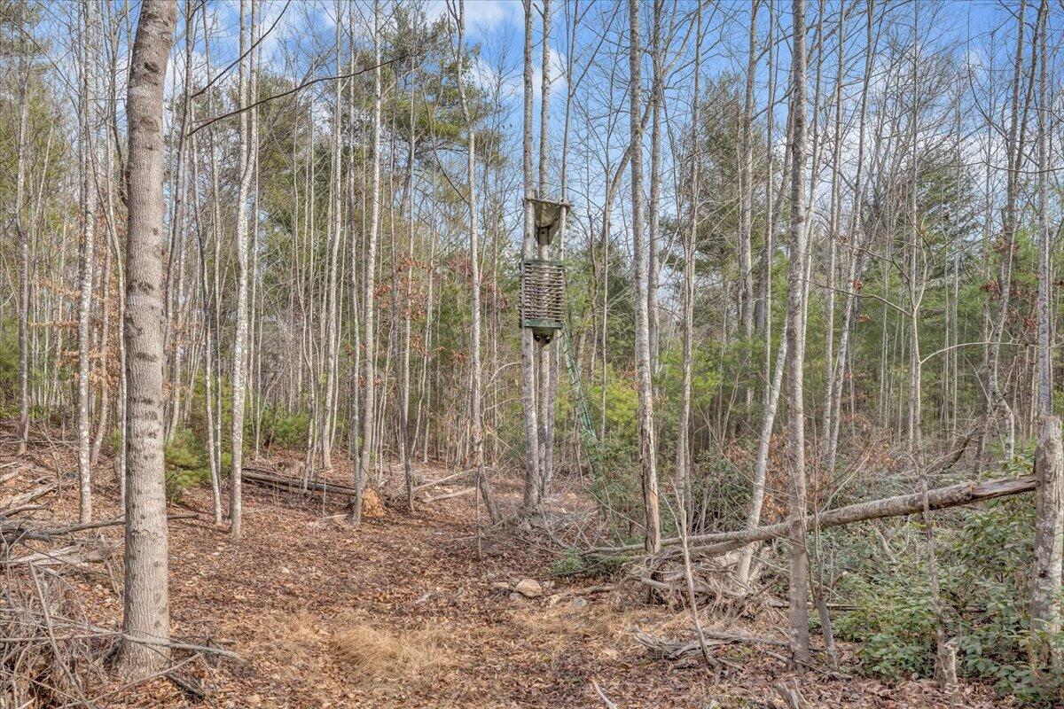 6702 Ferrum Mountain Road Callaway, VA 24067 - Photo 31 of 45 a view of outdoor space and yard